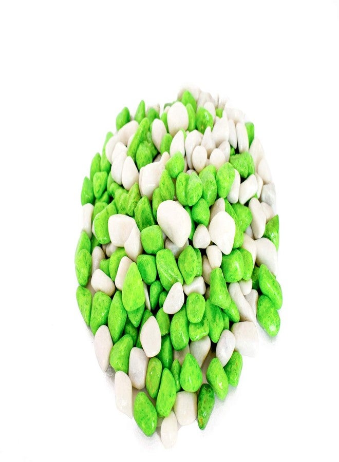Power Stone Decorative Coloured Asymmetric Marble Stone Pebbles for Vase Filler Plant Pots Home Aquarium Fish Tanks Landscape Outdoor Garden Decoration (Parrot Green & White, 1Kg) - Image 2